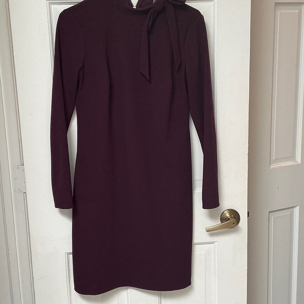 Calvin Klein Deep Purple Long Sleeve Dress